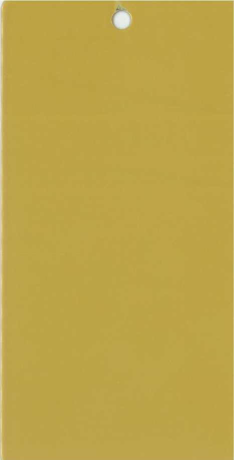 特鲜艳高光金_00